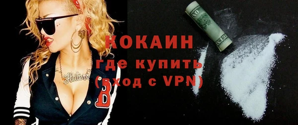 индика Кулебаки