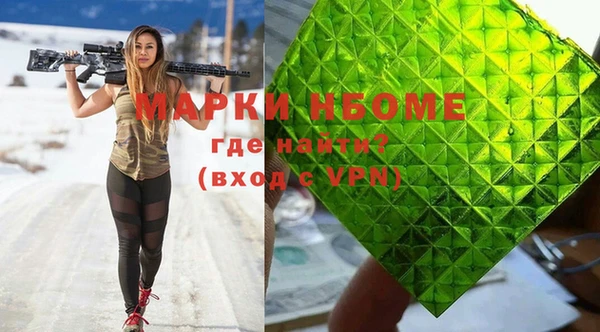 индика Кулебаки