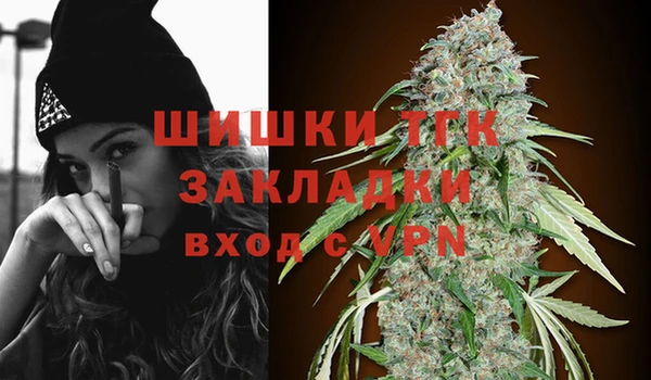 индика Кулебаки