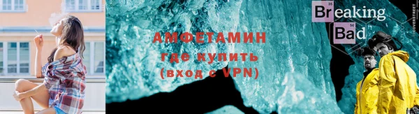 индика Кулебаки
