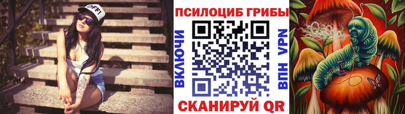 купить закладку  Тавда  Псилоцибиновые грибы мухоморы 