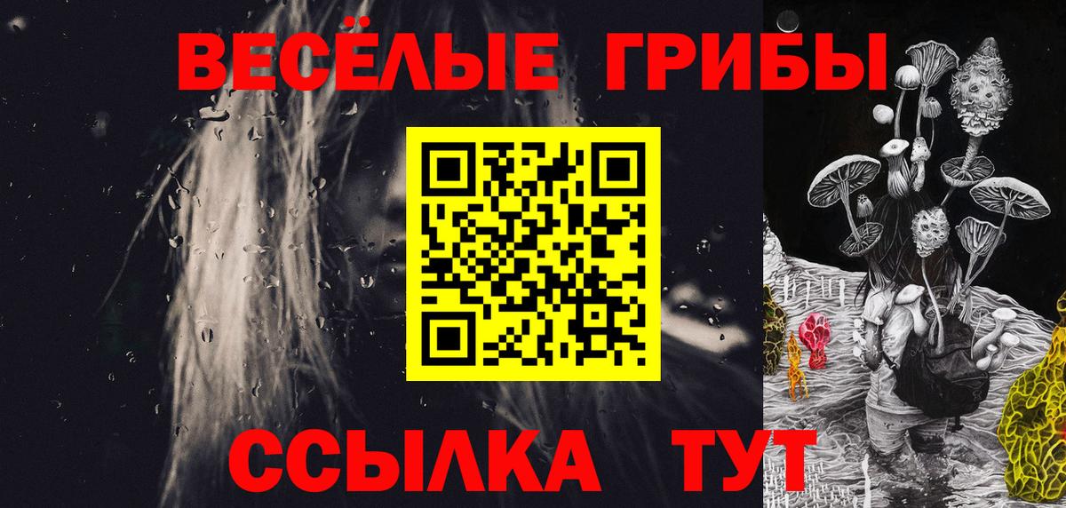 как найти наркотики  Галлюциногенные грибы прущие грибы  Тавда  Вход с VPN  Псилоцибиновые грибы GOLDEN TEACHER 