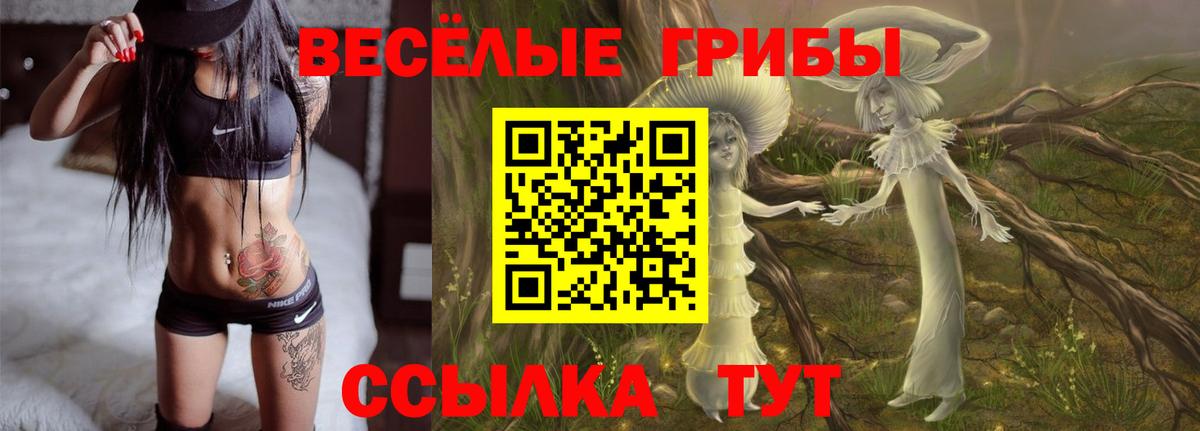 Галлюциногенные грибы Psilocybe  Тавда 