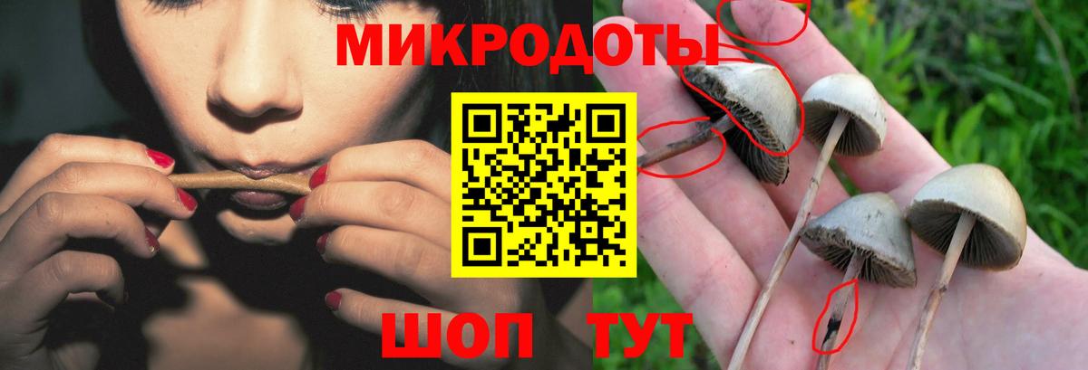 Псилоцибиновые грибы ЛСД Тавда