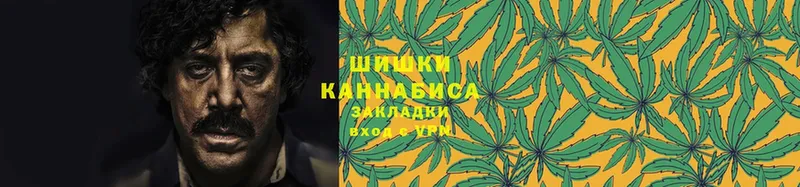 Конопля SATIVA & INDICA  Тавда 