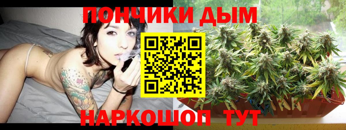 Шишки марихуана план  Вход с VPN  Тавда  Каннабис план  Бошки марихуана индика 
